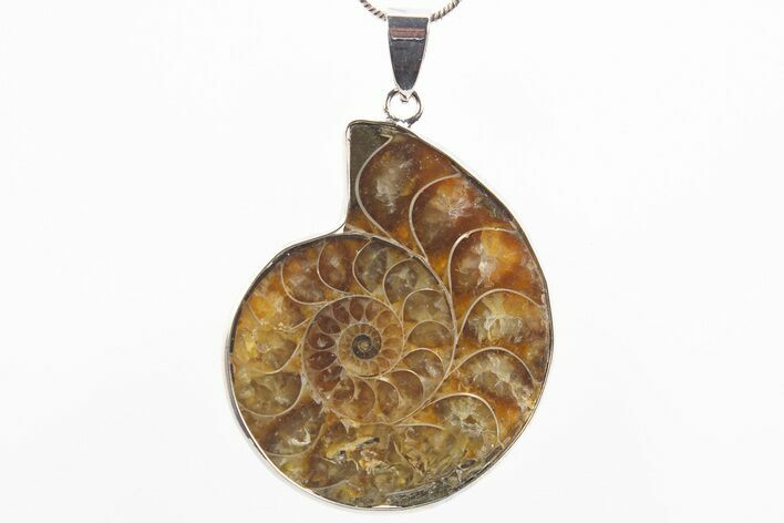 Fossil Ammonite Pendant - Million Years Old #306410